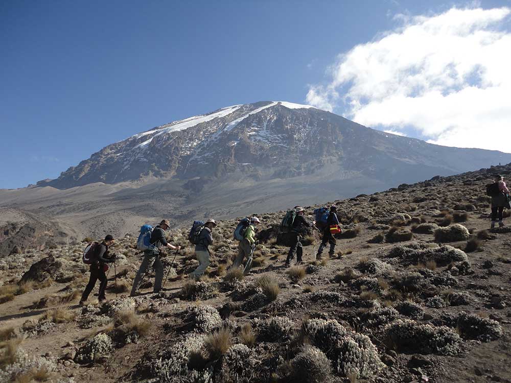 7 Days Kilimanjaro Climbing Lemosho Route