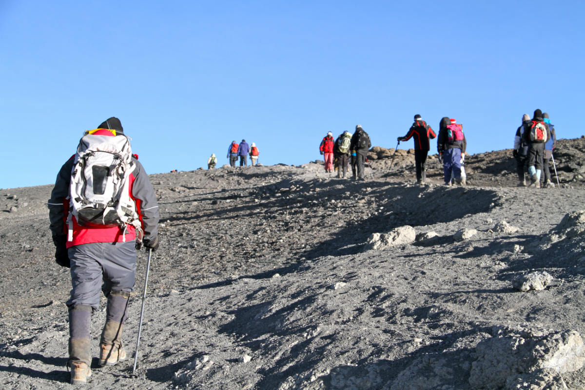 7 Days Kilimanjaro Climbing Rongai Route
