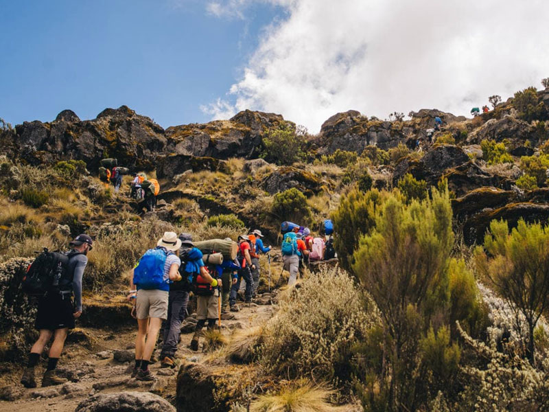9 Days Kilimanjaro Climbing Northern Circuit Route