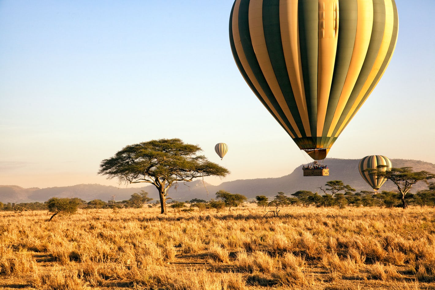 Balloon Safaris