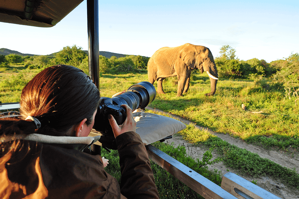 Tanzania Photographic Safaris